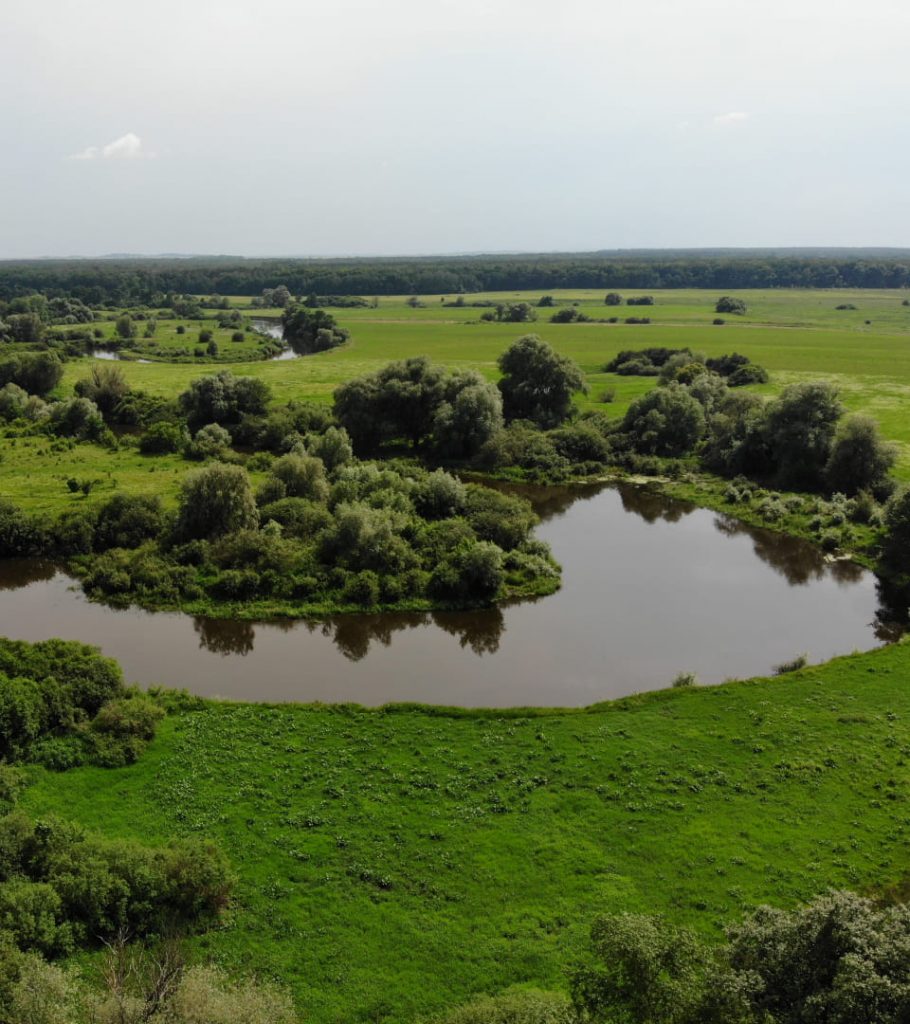 Одноденна пішохідна мандрівка Слідами Великих Антів 3