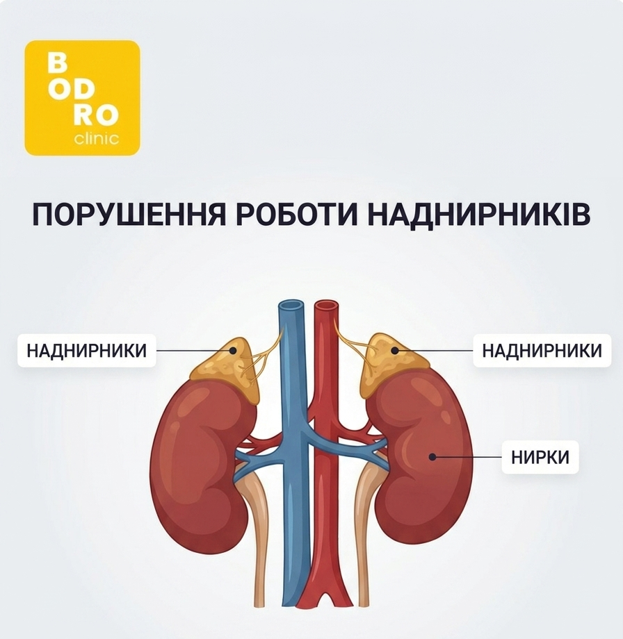 Порушення роботи наднирників — симптоми і коли варто перевіритись 1